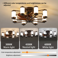 Elegant 22-Inch Modern Ceiling Fan with LED Light Fixtures USA