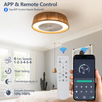 Elegant Modern Ceiling Light with Remote Control USA