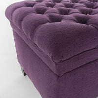 Elegant Velvet Storage Chaise Lounge with Plush Cushion