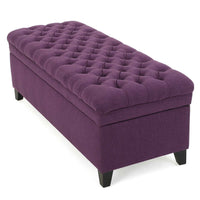 Elegant Velvet Storage Chaise Lounge with Plush Cushion